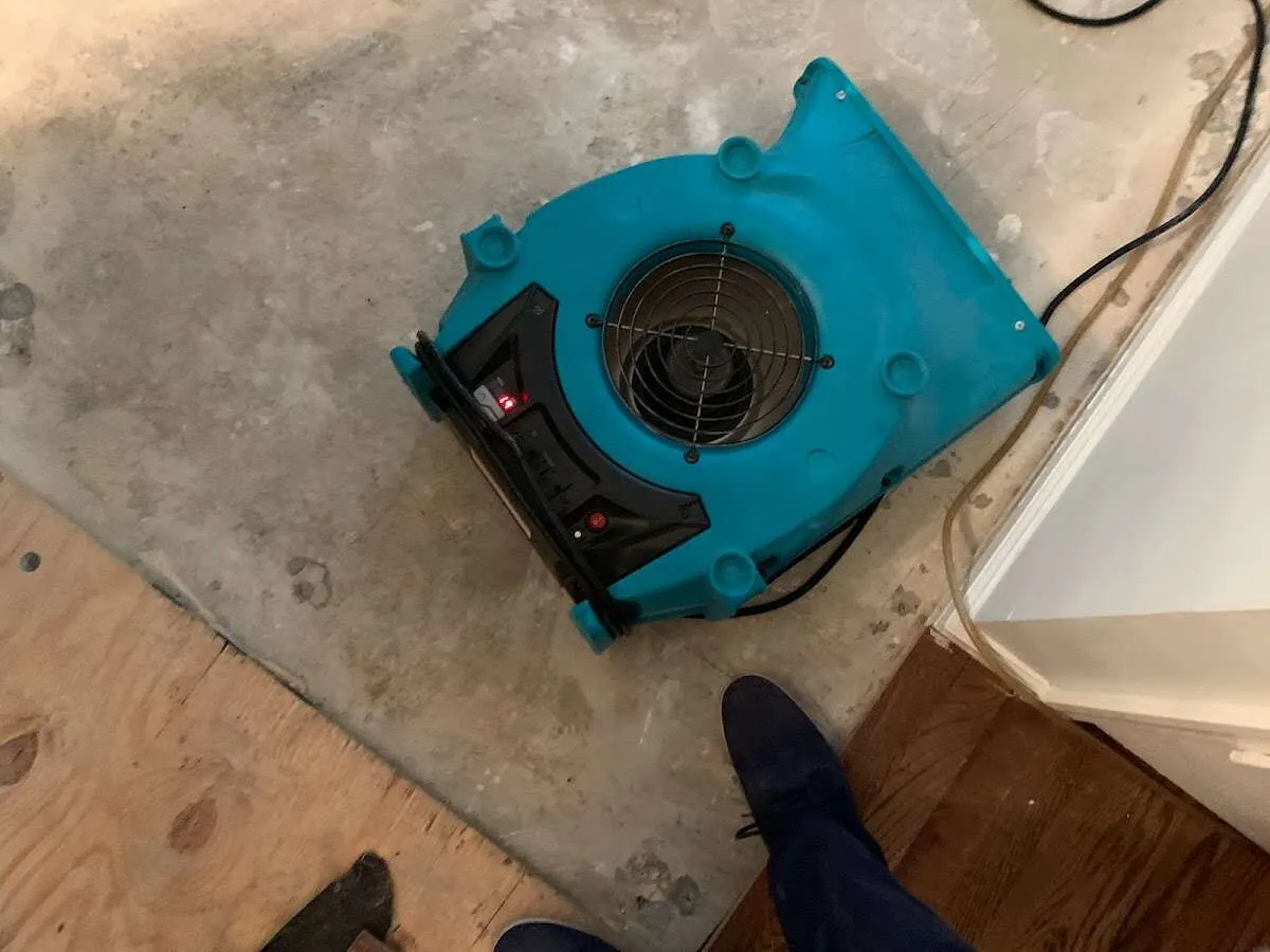 Air mover drying subfloor during Commercial Water Damage Restoration in Holden